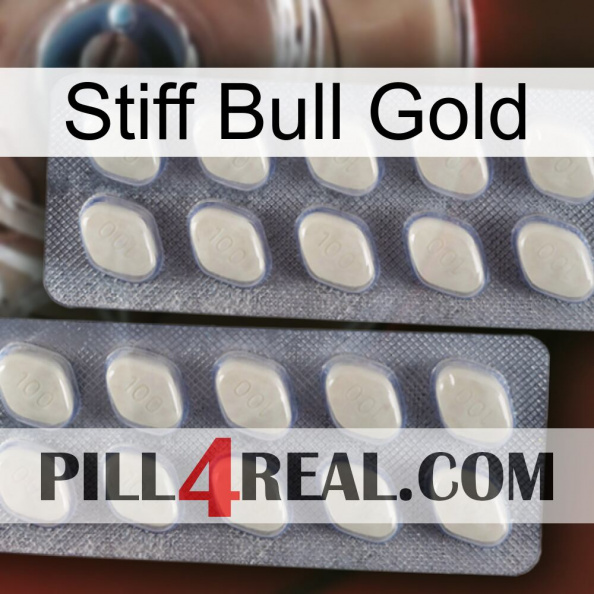 Stiff Bull Gold 07.jpg